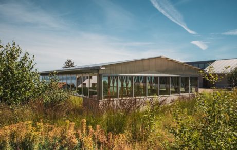 Ecole à Neuvecelle